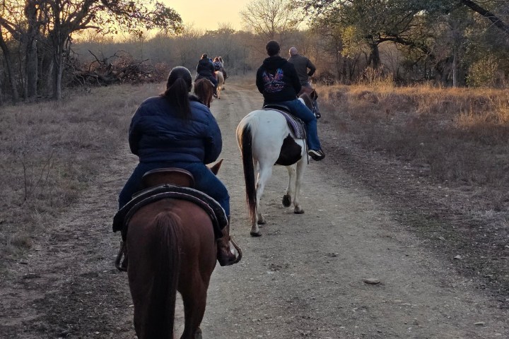 Group horseback riding on a dirt path through a wooded area at dusk.