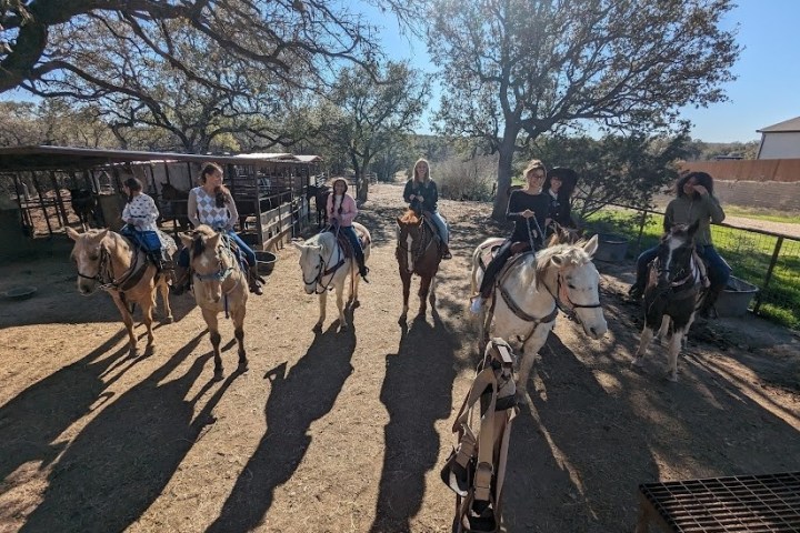 Seven people on horseback in a sunny outdoor setting.