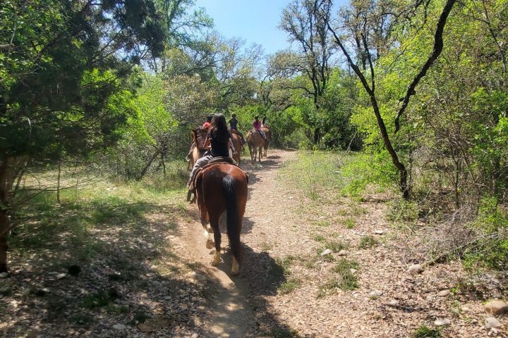 People horseback riding on a forest trail on a sunny day.