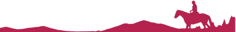 Silhouette of a person on horseback against a white background with red landscape.