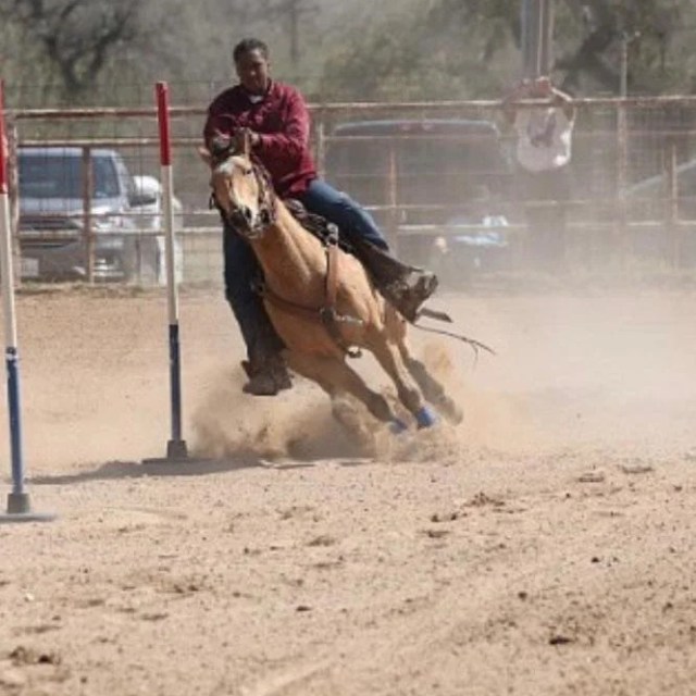 Person on horse navigating poles in a dusty arena.