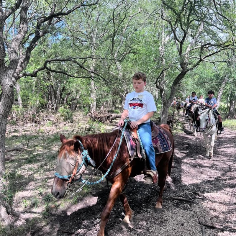Boy in white shirt riding a brown horse on a wooded trail.