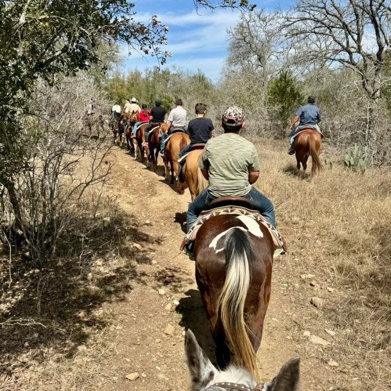 Group of people horseback riding on a trail through a wooded area.