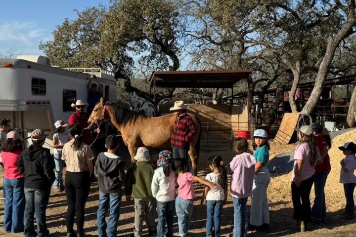Group of children and adults gathered around a horse outdoors on a sunny day.