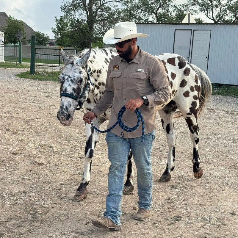 Man in cowboy hat leads a spotted horse on a gravel path.